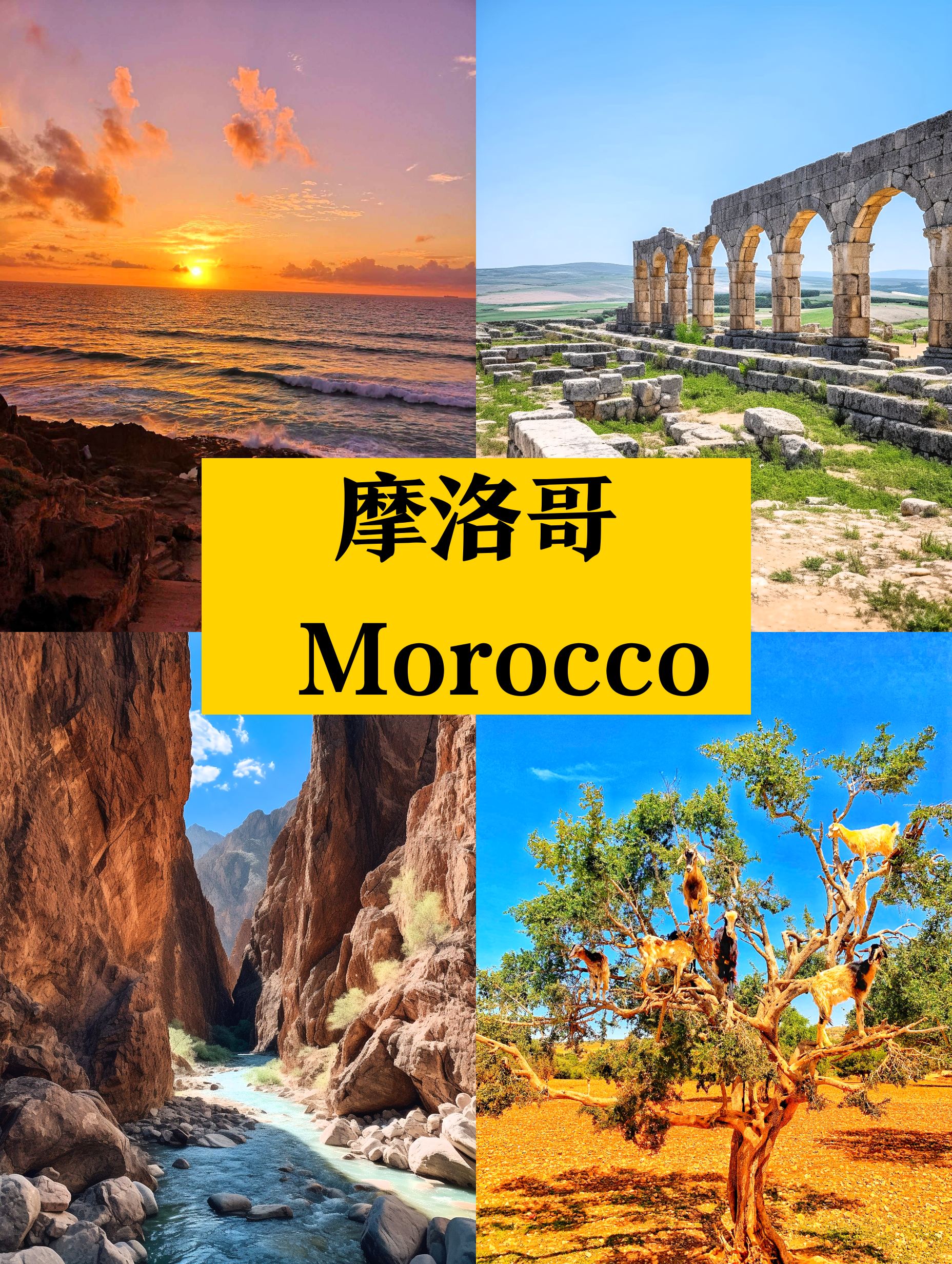 摩洛哥旅行手册 看过就懂👍