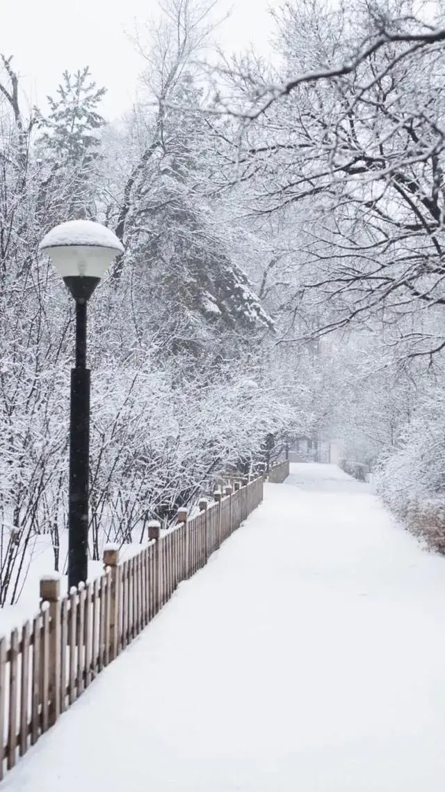 好大的雪