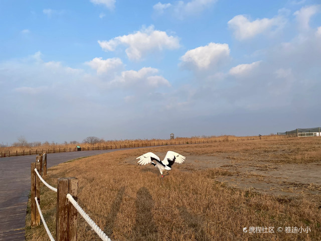 江苏盐城大丰旅游景点门票_江苏大丰旅游景点大全_江苏大丰旅游景点大全图片