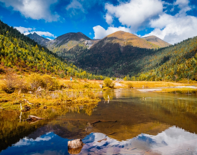 党岭 秋天是党岭最美的季节，这里恍若一幅镶嵌于横断山系中的绝妙油画。金黄的树林、清澈的溪流、雪山和蓝