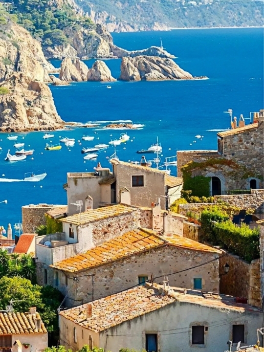 Restaurant Pizzeria Bar Lluis餐厅图片