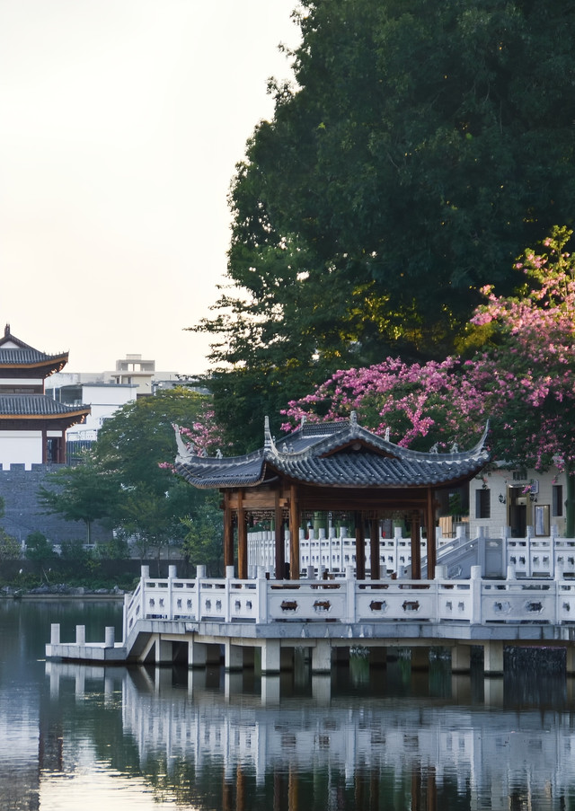 鳄湖公园就在河源市中心