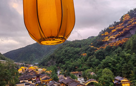 百味鲜(望仙谷景区店)