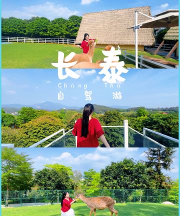 长泰唐宋花仙谷度假酒店图片