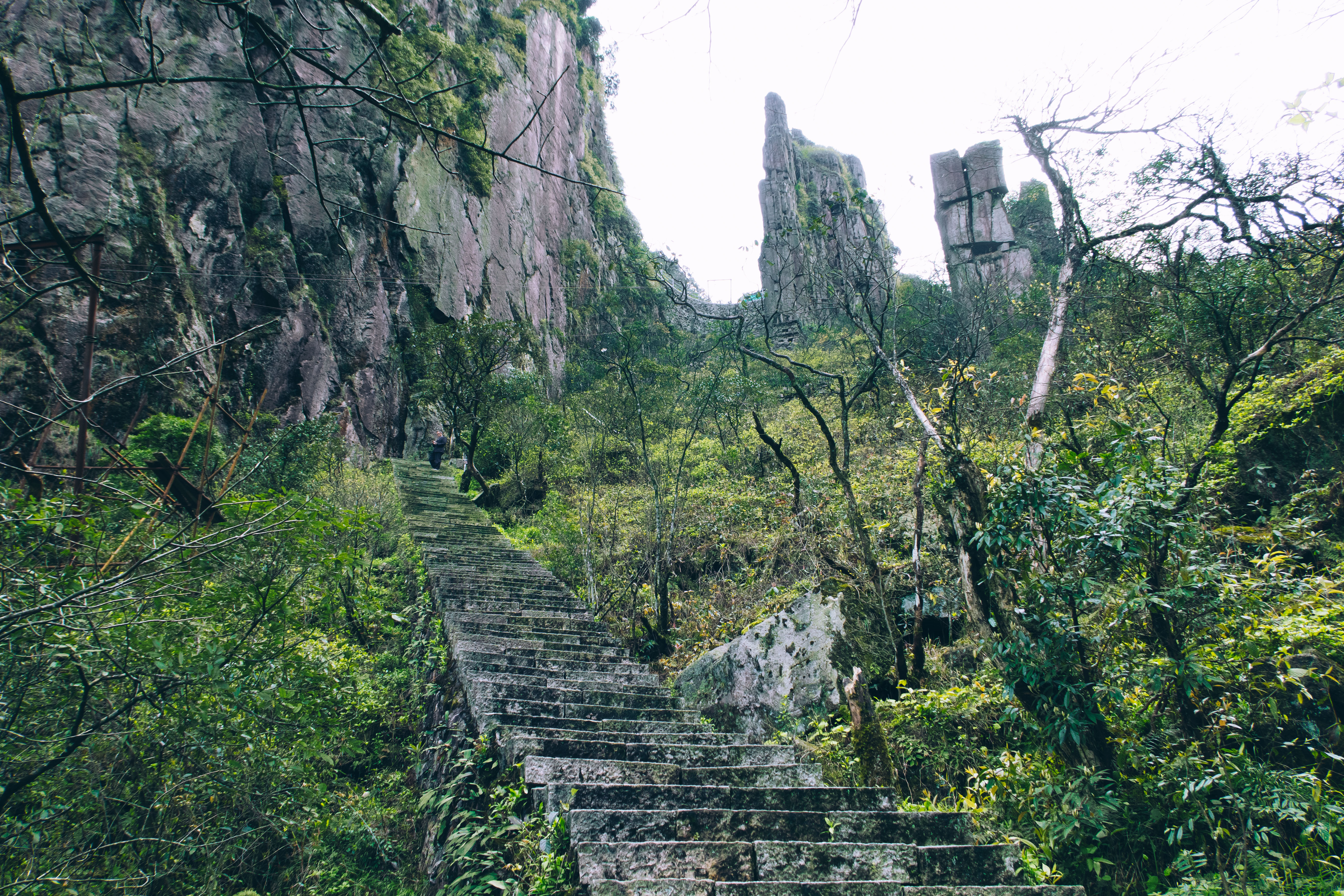 广东后花园的秘境：探访莽山五指峰