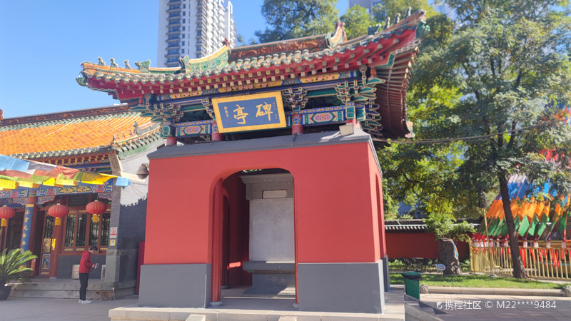 沈阳皇寺，很有历史，里面也值得去看看，藏传佛教和本土佛教想结合！