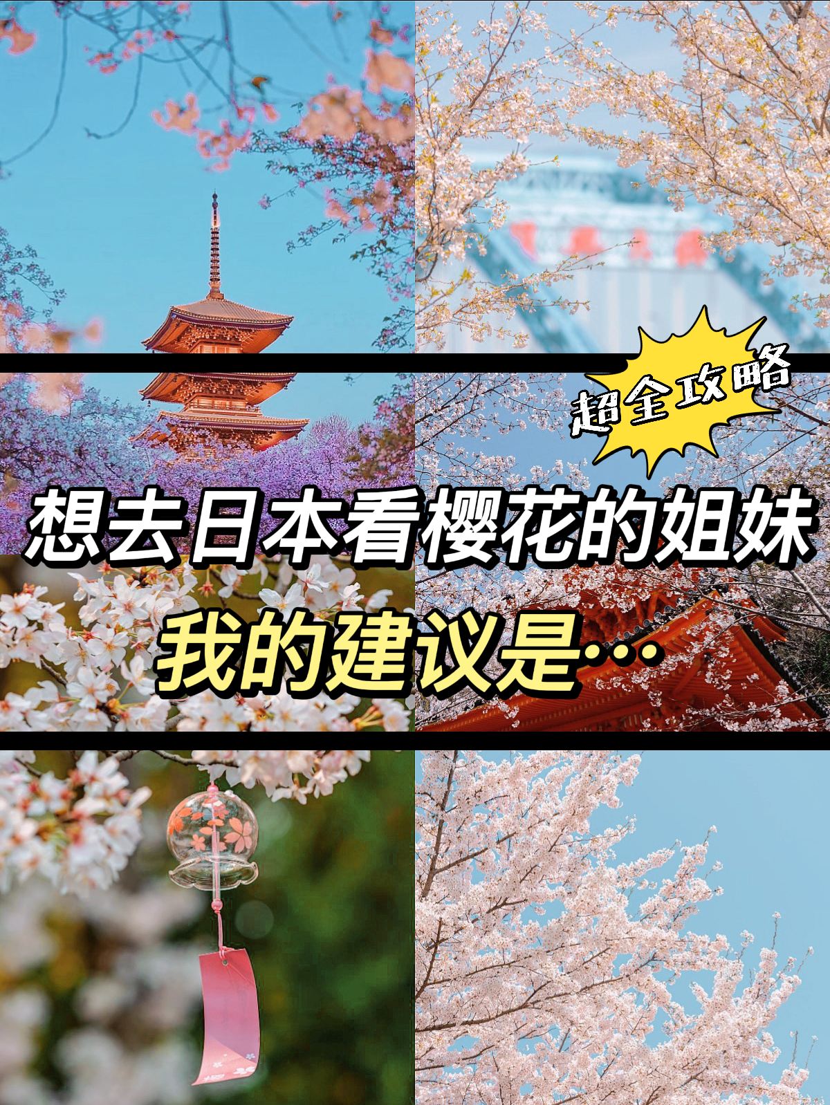 2-4🈷️日本樱花➕游玩线路➕出行攻略