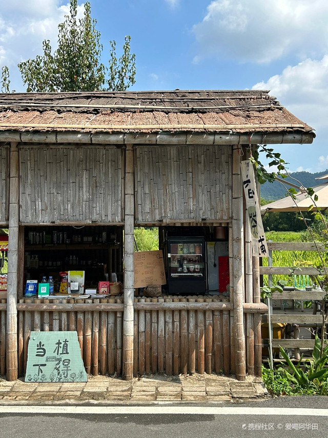 中山五桂山旗溪村|体验治愈"菊次郎的夏天"