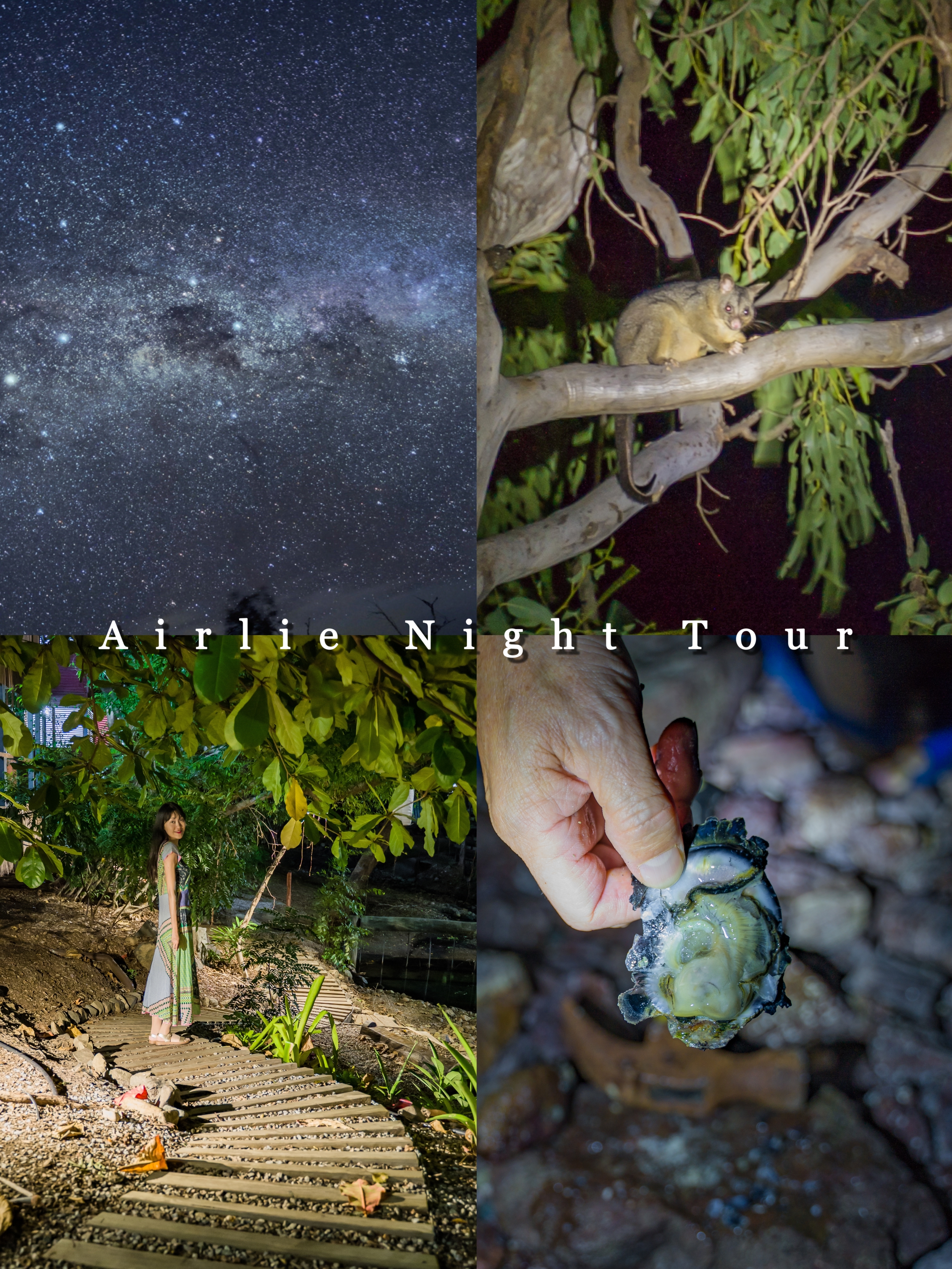 昆士兰最有趣的夜游活动：探秘艾尔利大自然星空夜游之旅！
