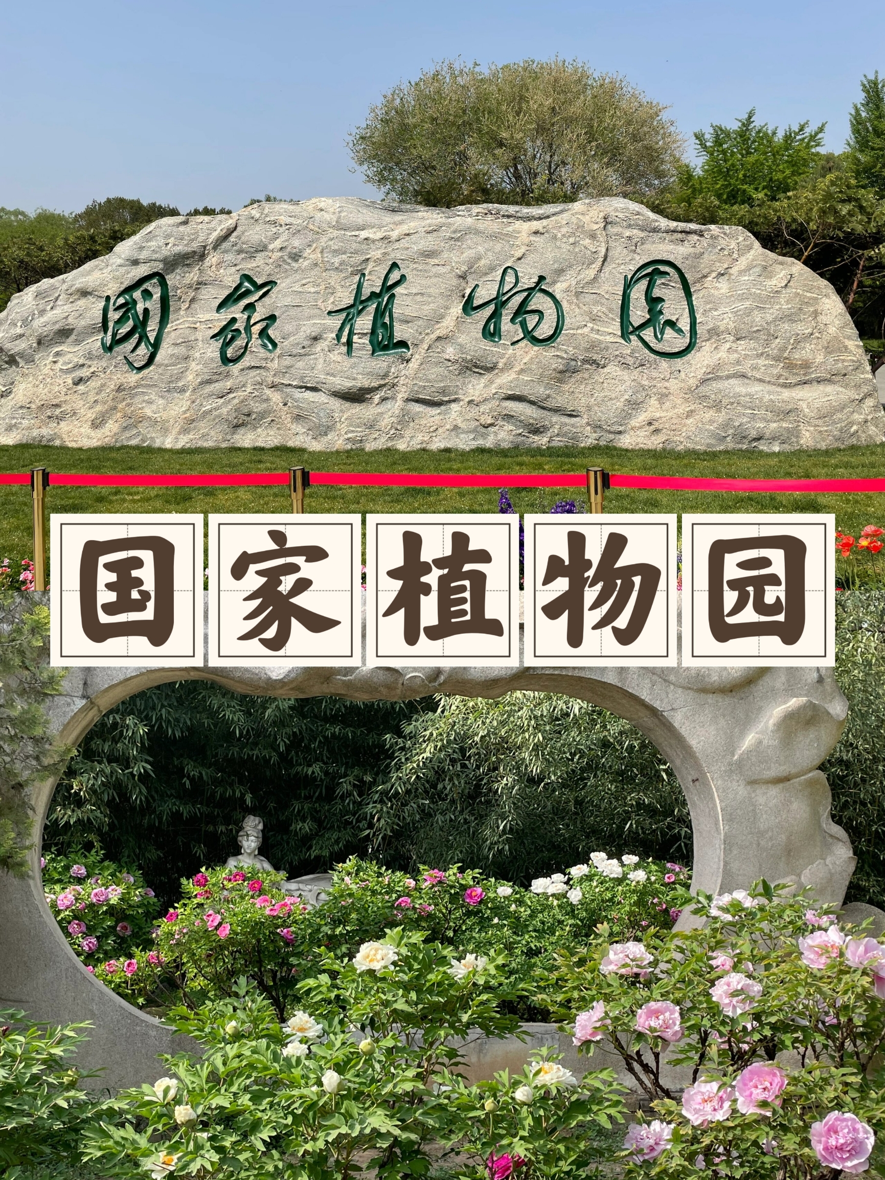 北京国家植物园|植物王国奇妙之旅