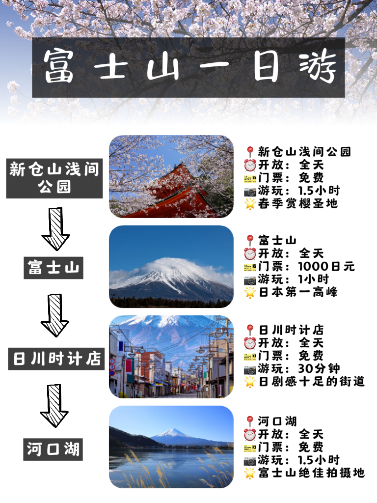 逢春赏樱｜东京富士山🗻一日游攻略💫