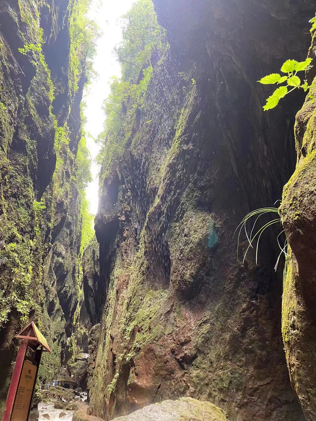 雨碌大地缝:探寻隐藏在深山的地质奇观