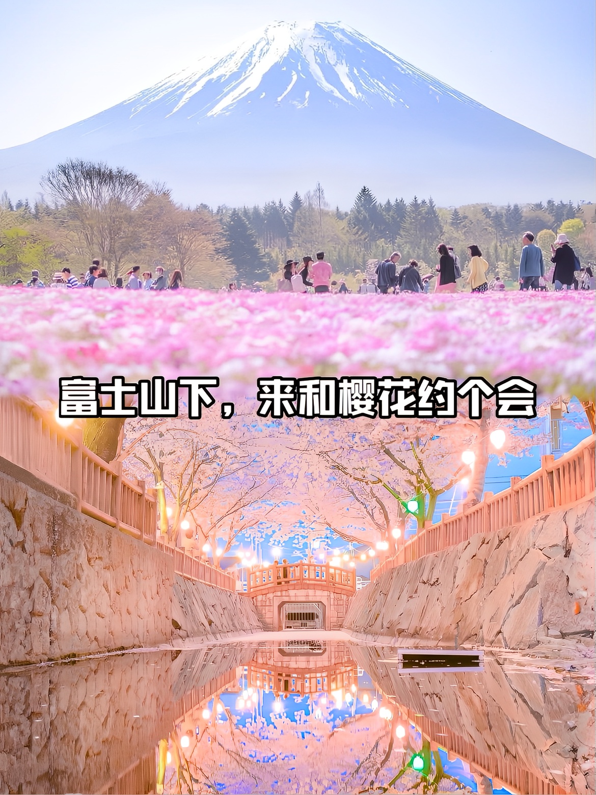 富士山下看樱花，对春天心动值达到巅峰