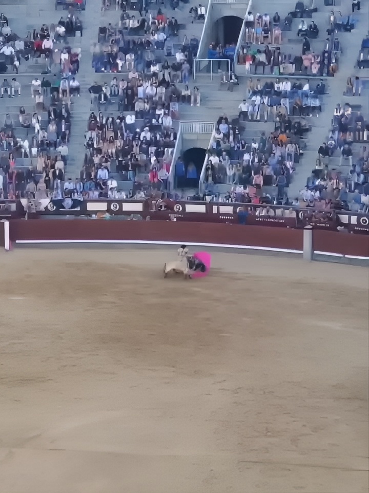惊心动魄的西班牙斗牛！