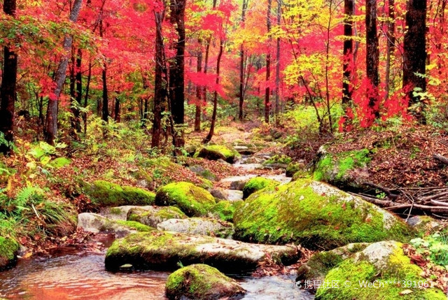 吉林市旅游|拉法山洞穴中还有一绝是国内独有的大气泡洞