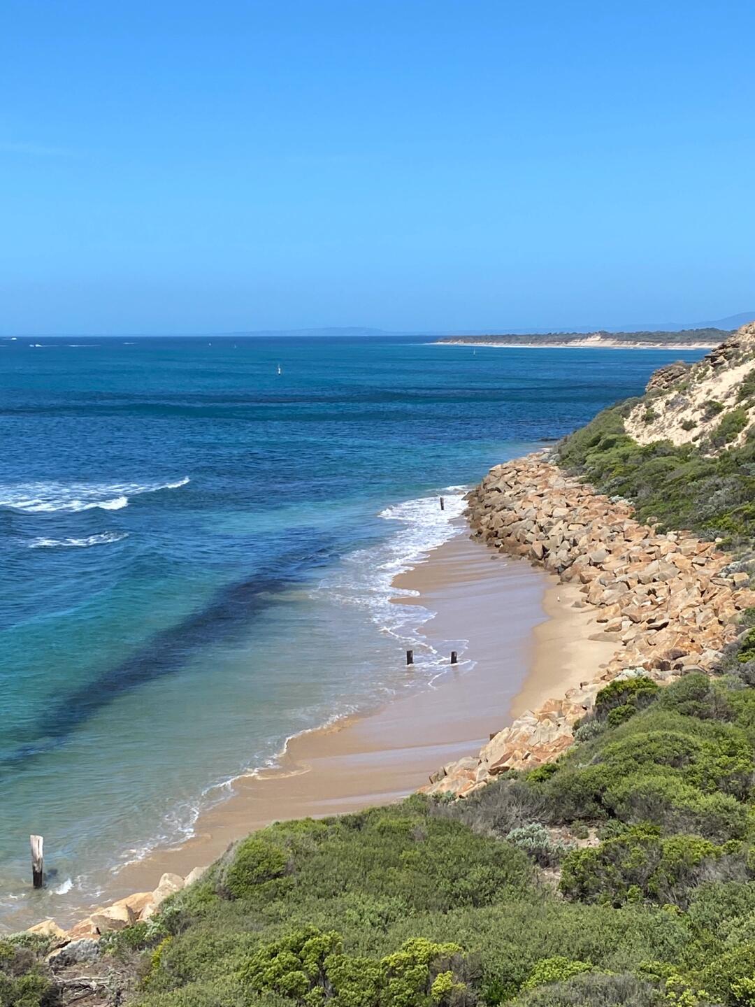 The Vanilla Slice Cafe