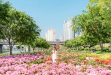 中浪川景点图片