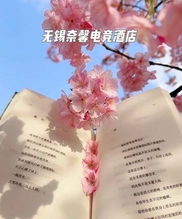 奈馨电竞酒店(无锡三阳广场南长街店)图片