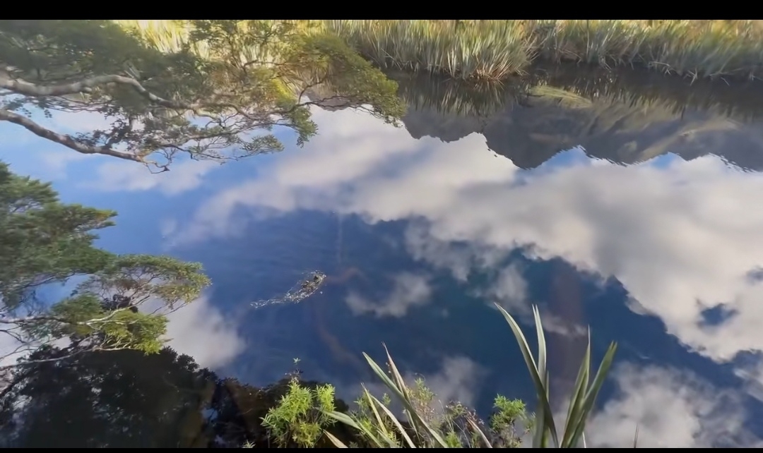 镜湖镜湖 ，还是梦里的模样，美得宁静，纯粹！