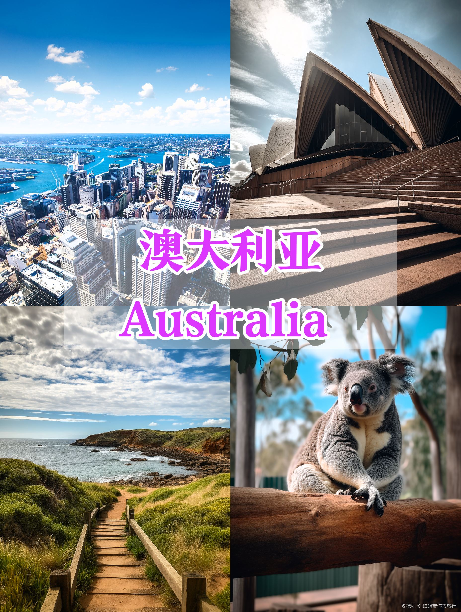 澳大利亚旅行笔记📝后悔没早来！