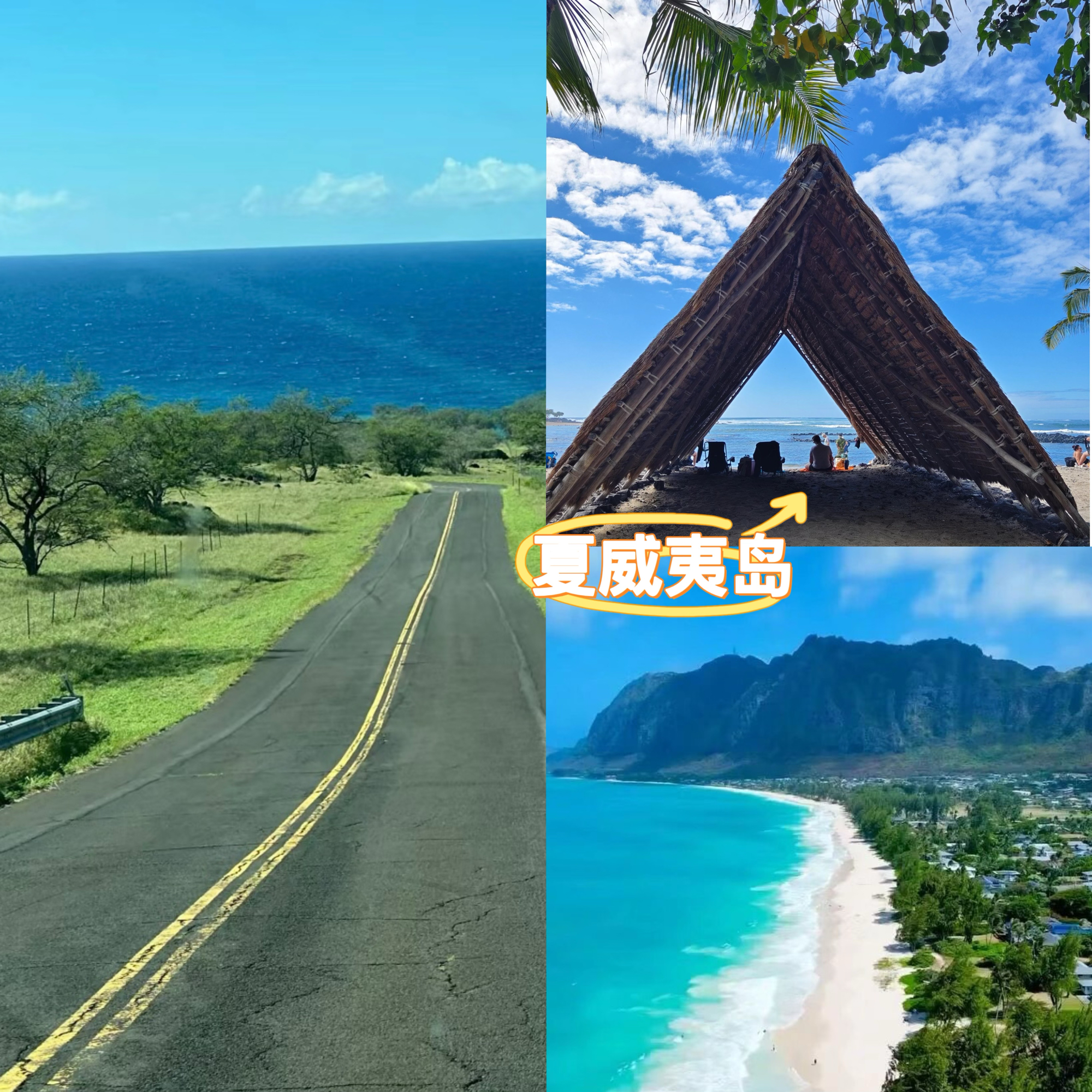 不纠结去夏威夷哪个岛了！美哪！