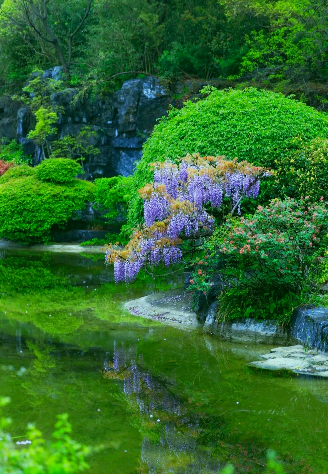 新晋顶流“小花”已上线