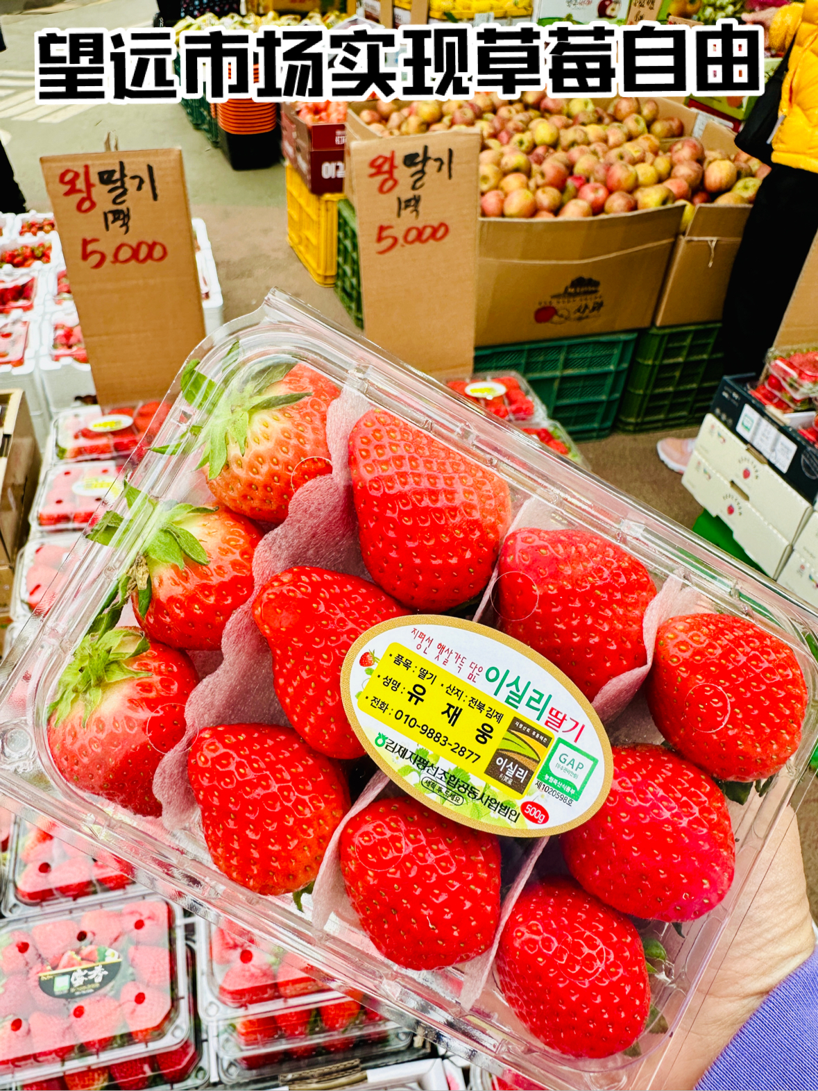 🇰🇷首尔｜🍓大爱平靓正望远市场！