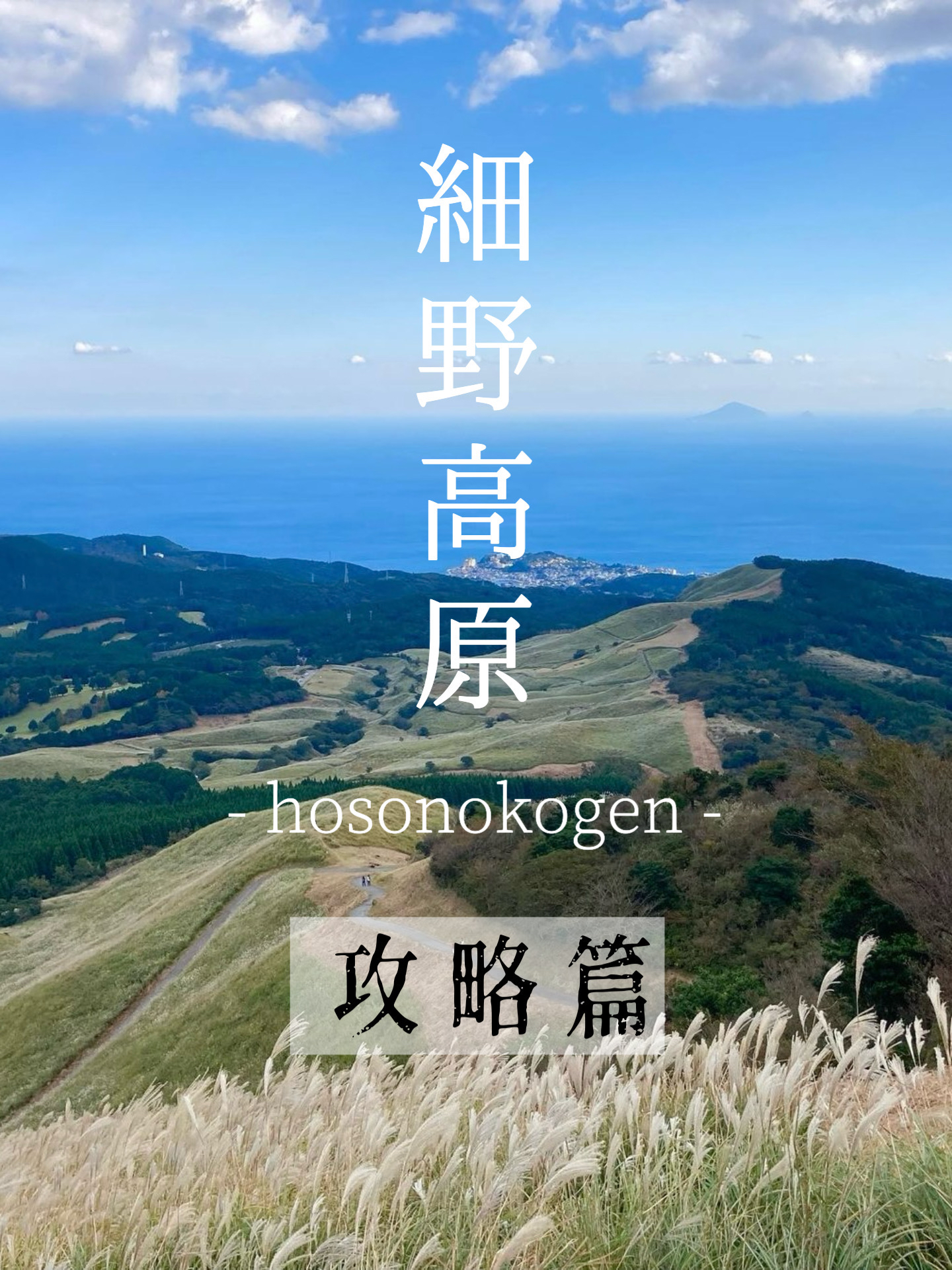 伊豆这里很好拍📷去细野高原独享这片山和海