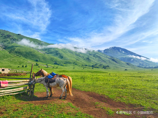 这才是禾木的正确打开方式,骑马探索它深藏不露的美|打卡布尔津禾木