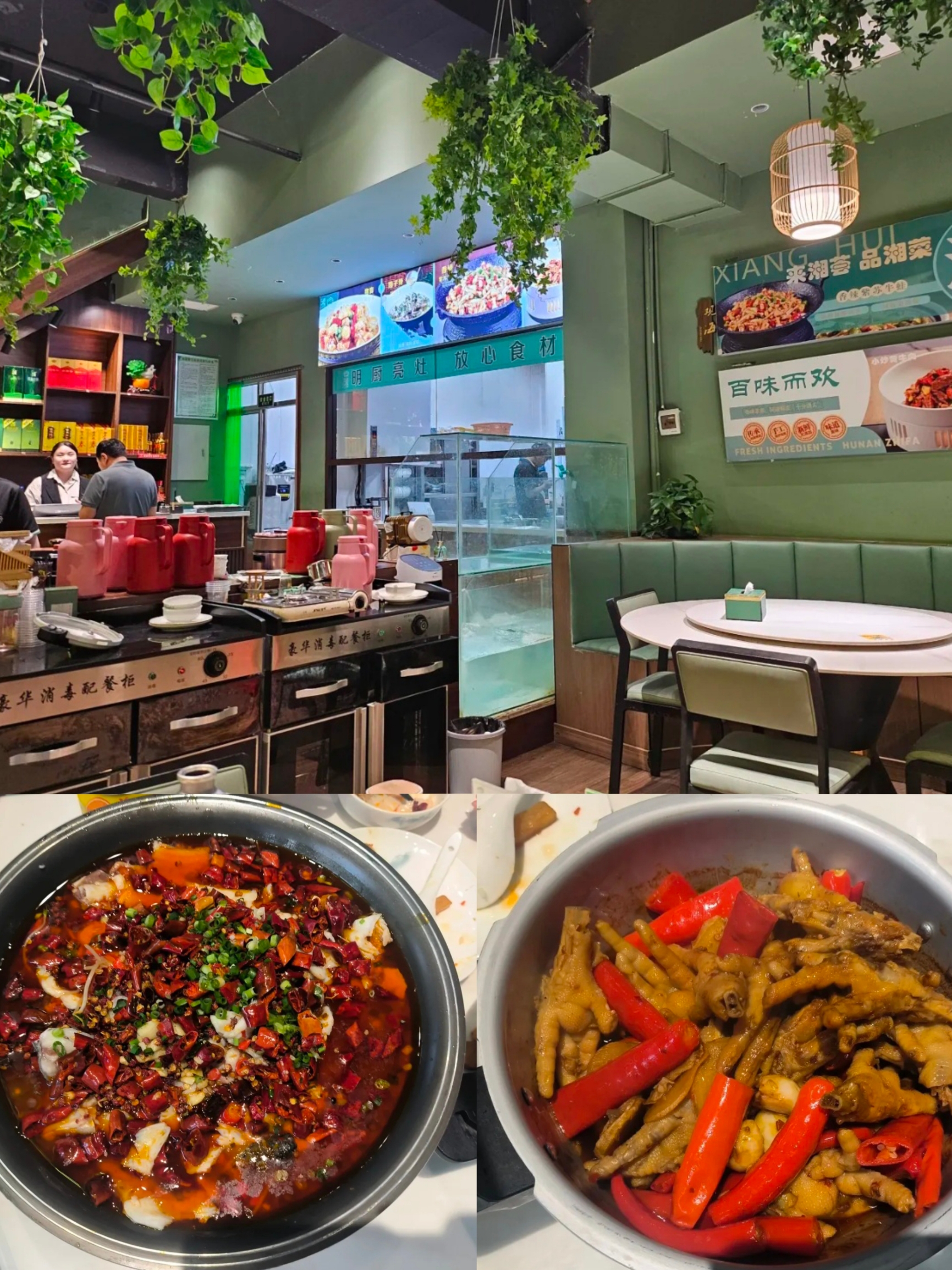 新湘荟餐厅图片