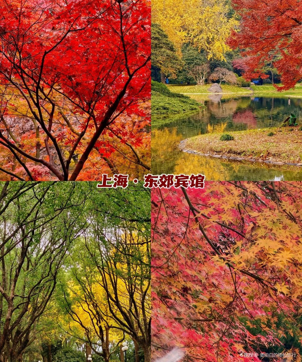 上海东郊宾馆图片