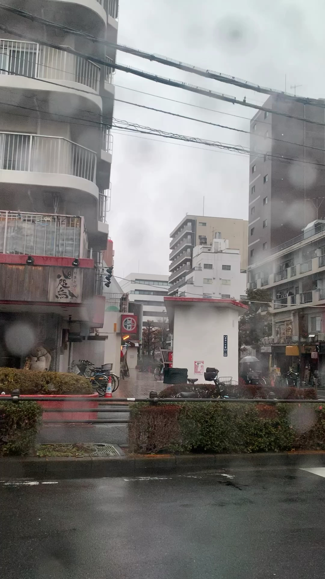 这几天日本好冷呀，而且还下雨 不知道去哪里逛合适[Sweat]