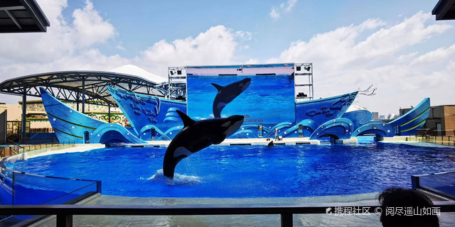 上海景点排行：海洋海昌公园当仁不让的海洋主题公园之首