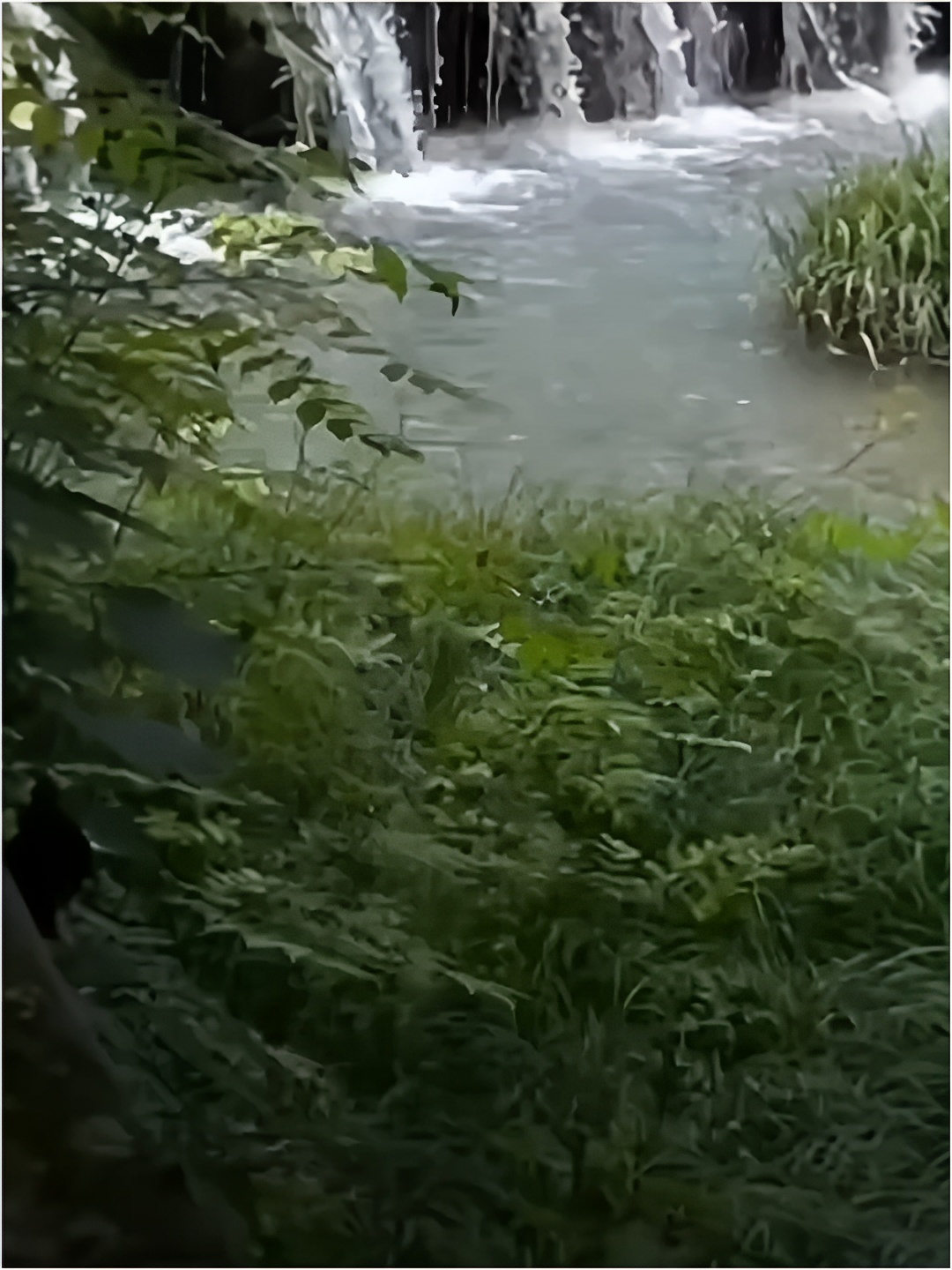 小长假襄阳周边游/香水河 离襄阳市区两个小时距离的小“九寨沟”风景很不错呦~ 不得不说山里的空气真的