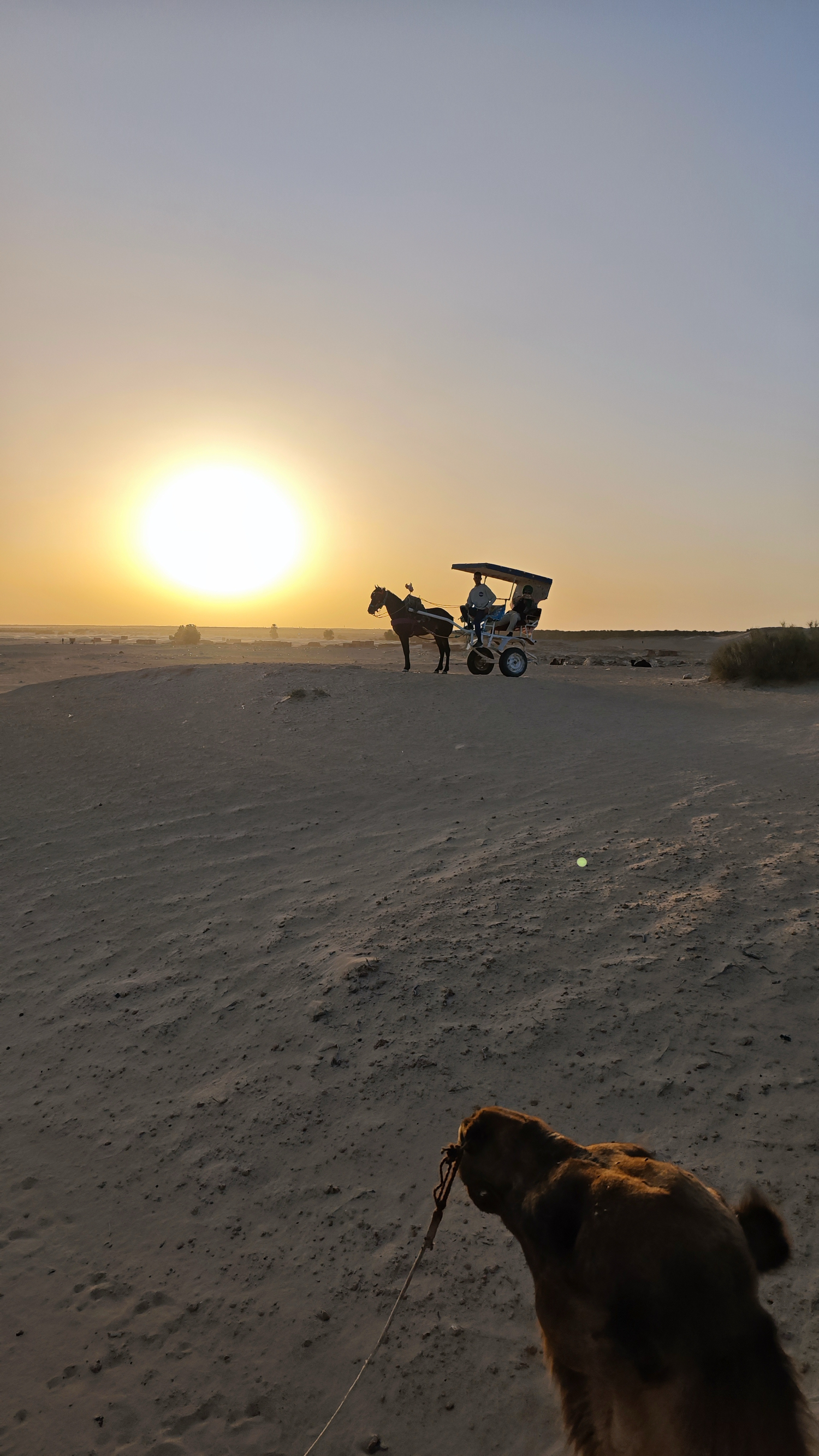 撒哈拉沙漠日落🌄