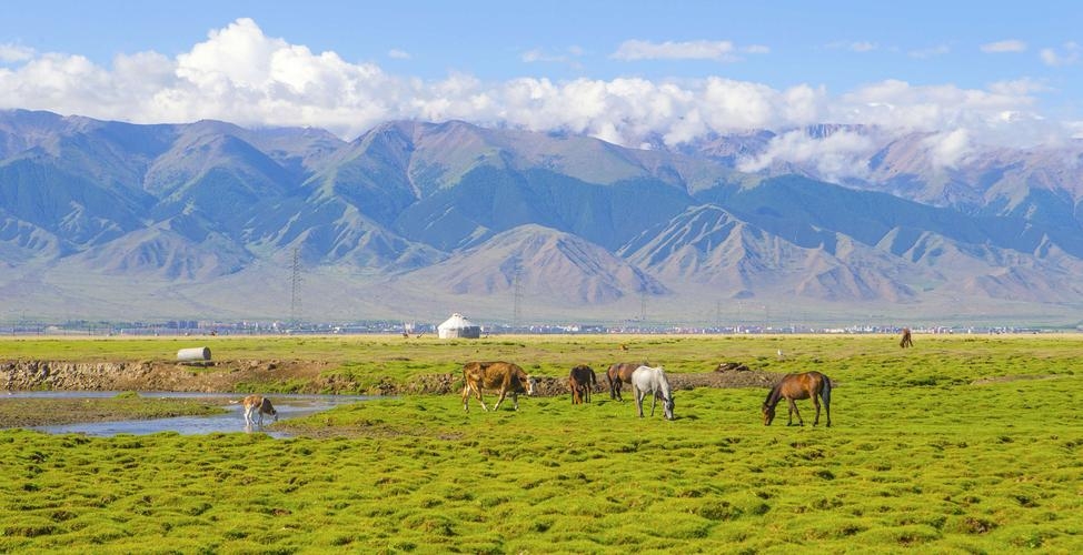 巴里坤草原位于新疆东北部的哈密地区，这里有“天山淞雪”、“瀚海鳌城”、“镜泉宿月”、“岳台留胜”等八