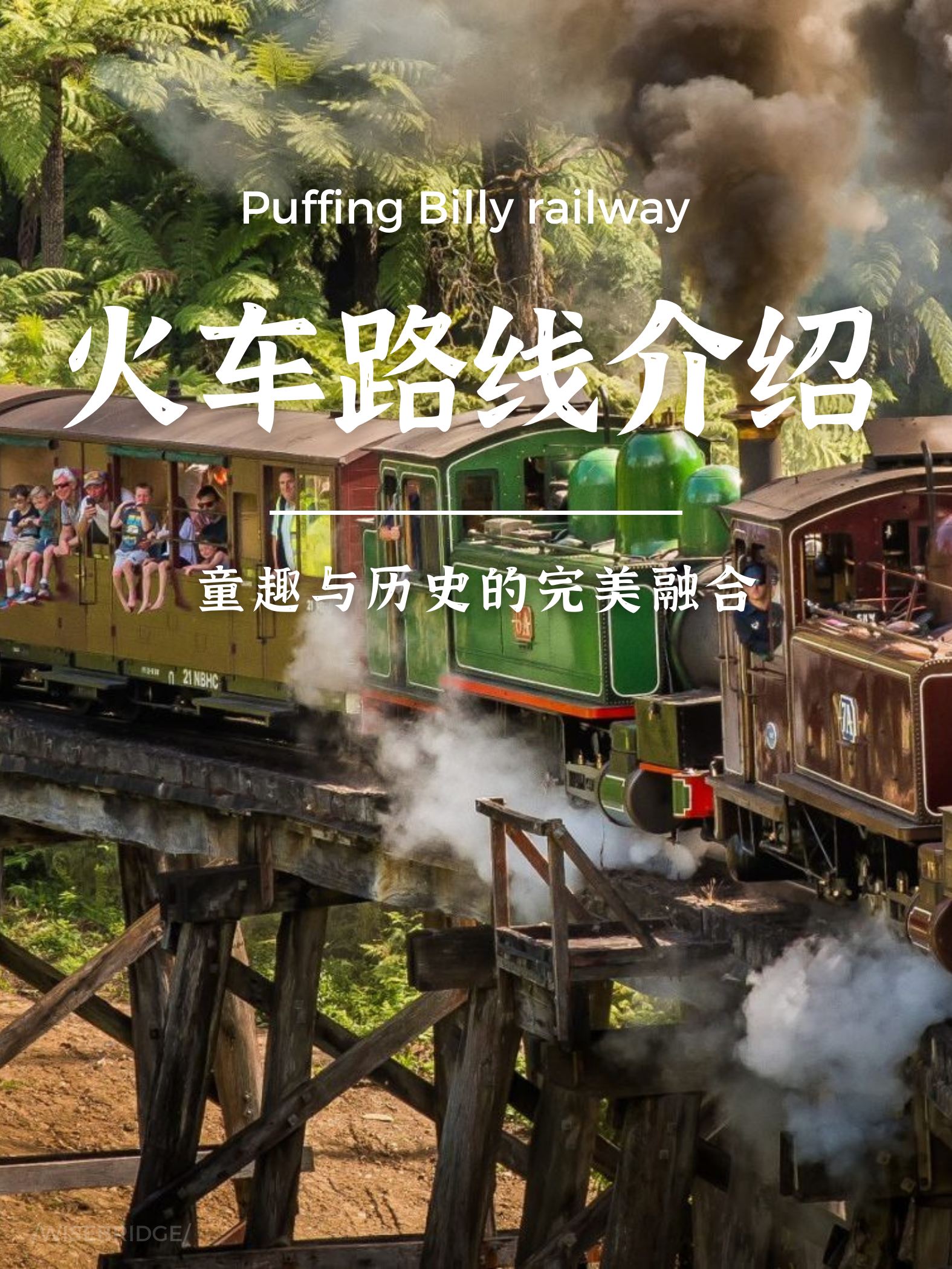 穿越时光：普芬比利蒸汽小火车经典路线全览