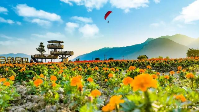 瑞安曹村航空飞行营地