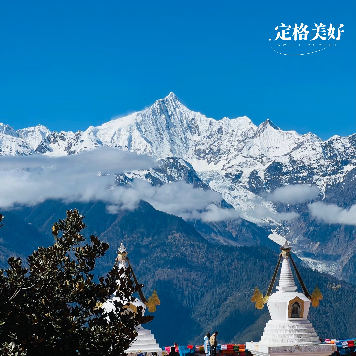 卡瓦格博酒店餐厅部餐厅图片