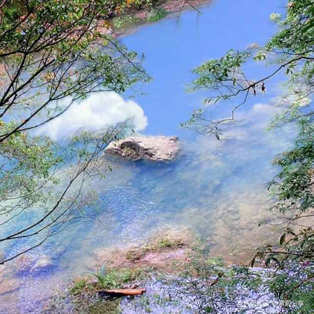 南靖书洋树海瀑布