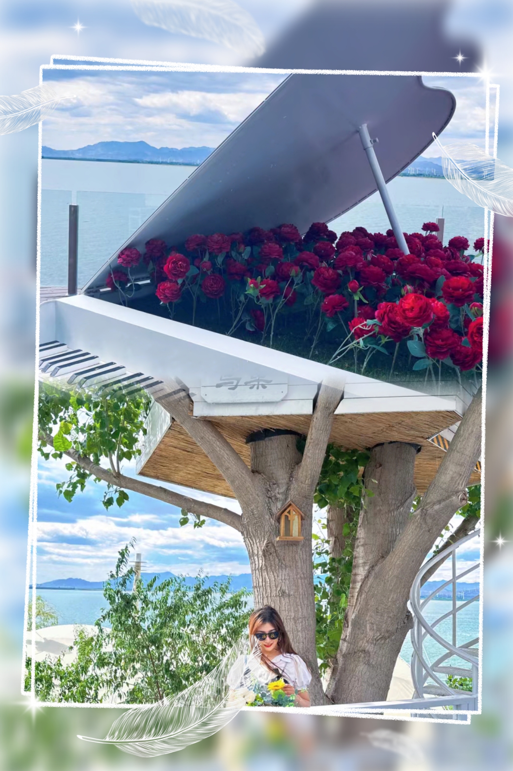 森林饭店餐厅图片