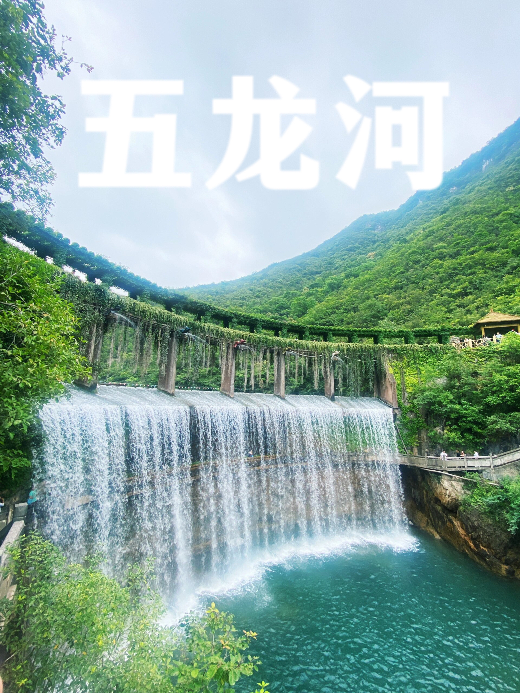 📍武汉出发｜湖北小九寨五龙河景区旅游攻略|||👉在十堰还有这样一个宝藏地方，它被誉为湖北的小九寨沟。