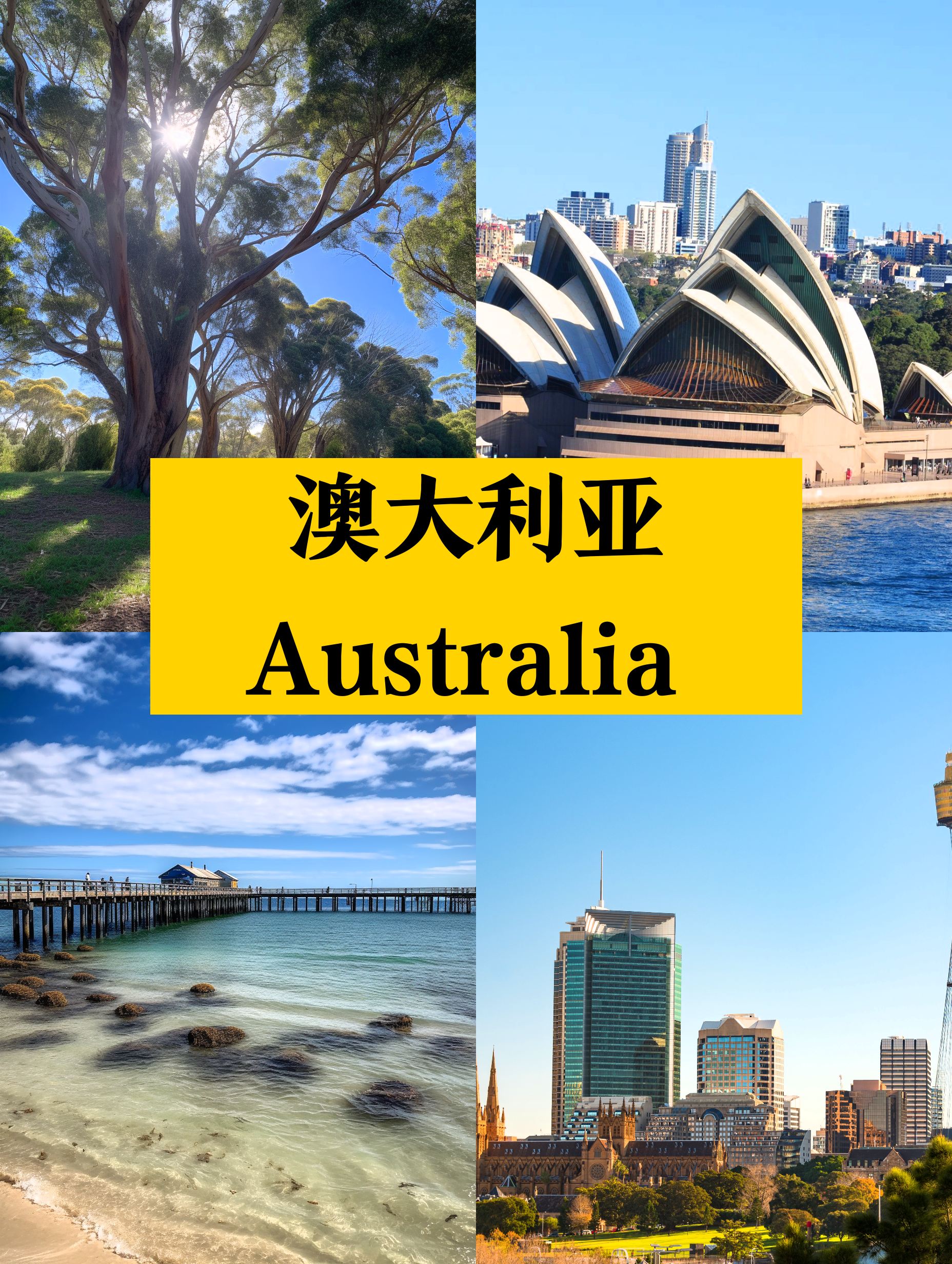 澳大利亚旅行😲你必须知道的小秘密❗