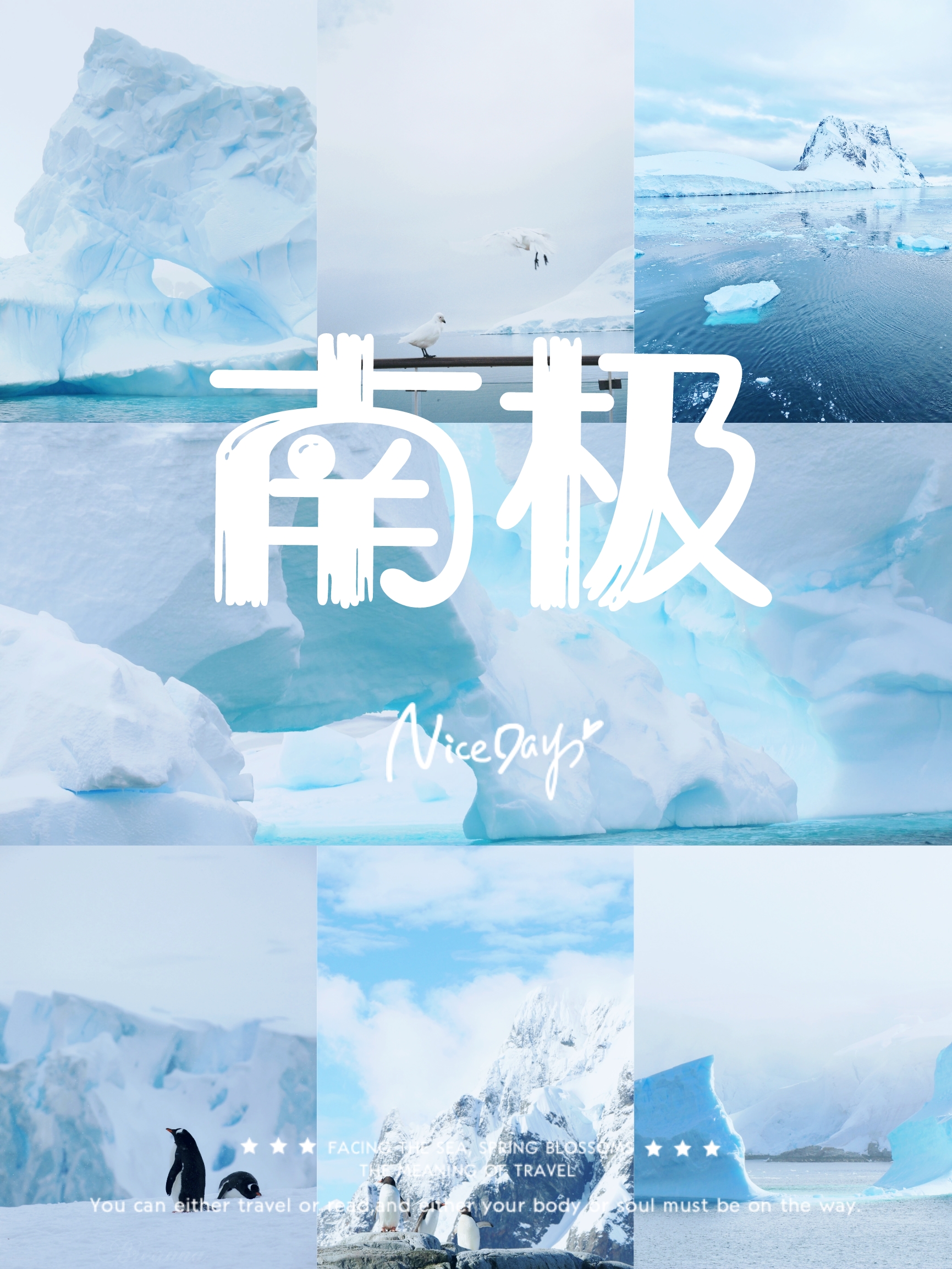 【南极】🏔️世界之巅的冰雪奇缘‼️