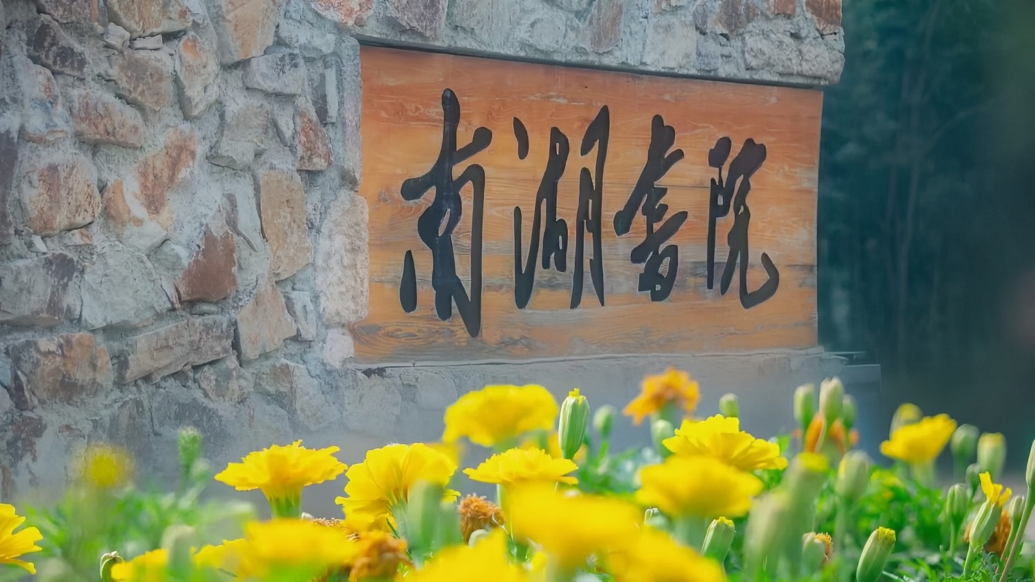 信阳有一家被评为“河南省四星级民宿”的地方，我来了！！！
