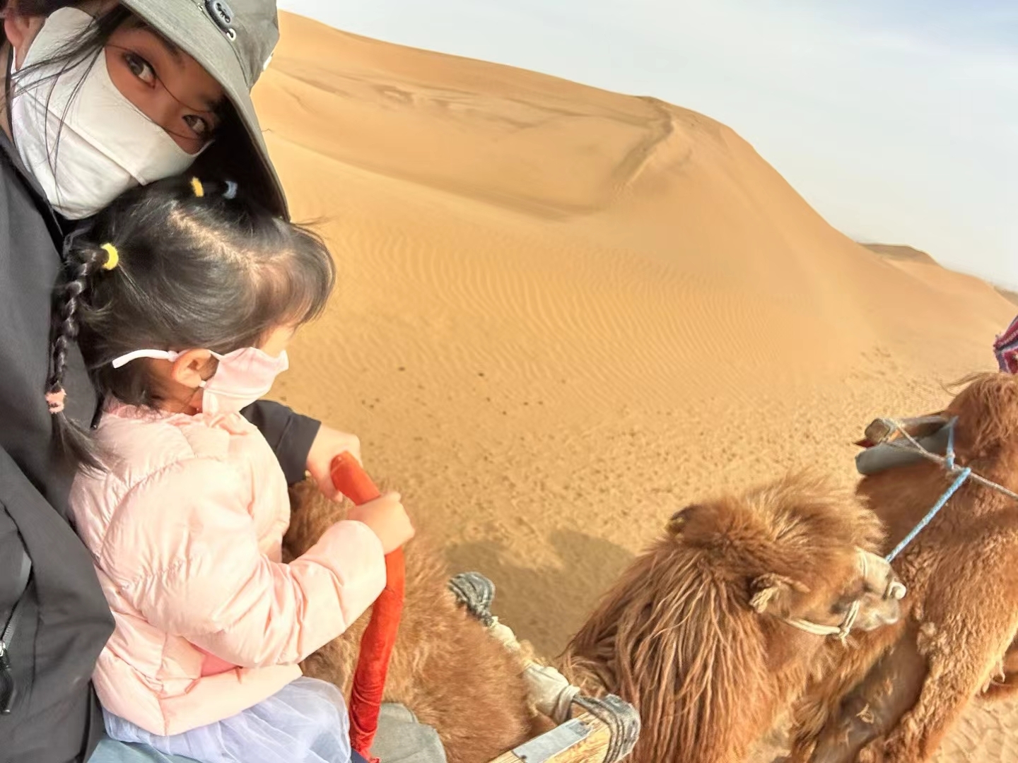沙坡头景区沙漠传奇骆驼体验感很好，路线长时间久
