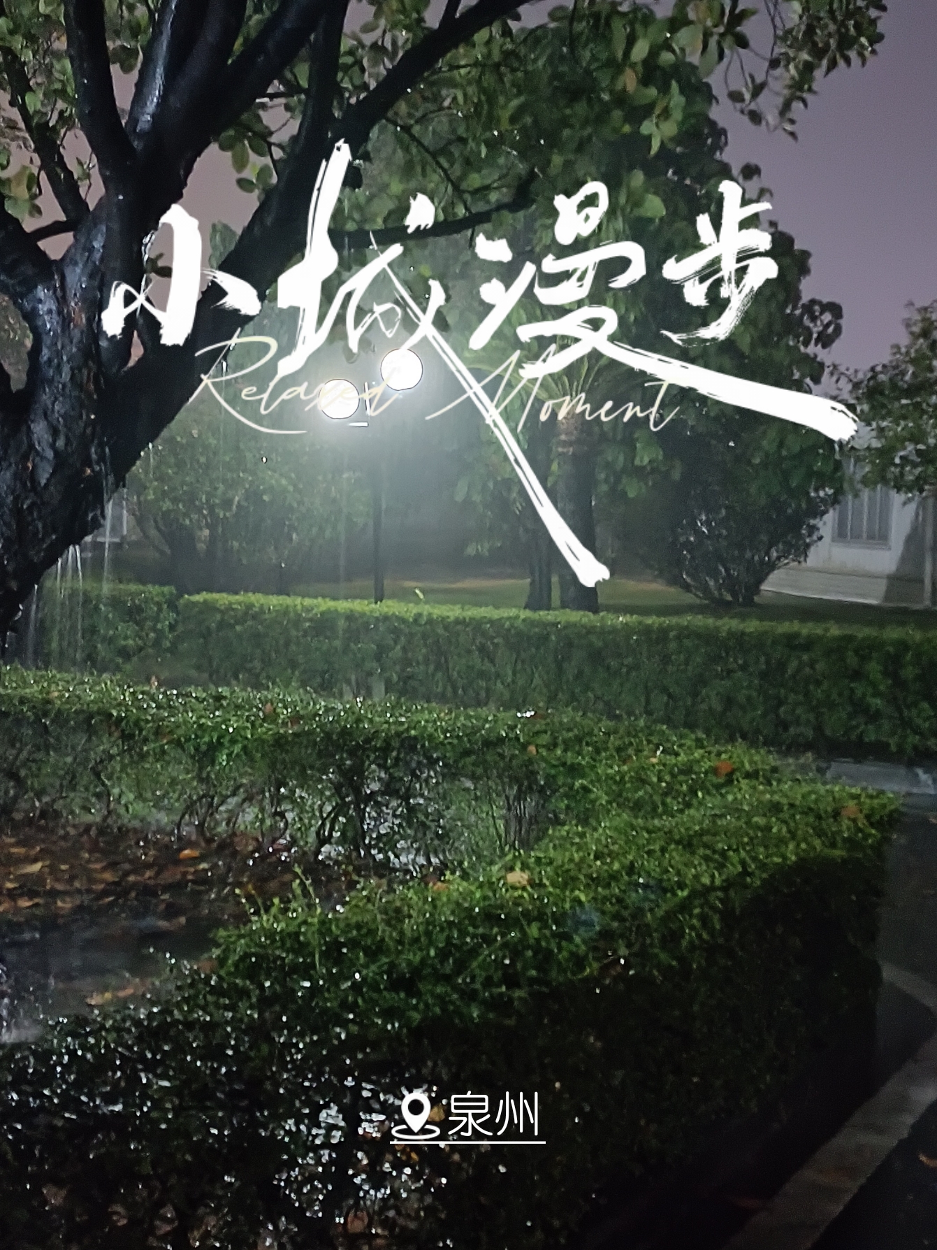 连续几天都是暴雨来了[Scowl]