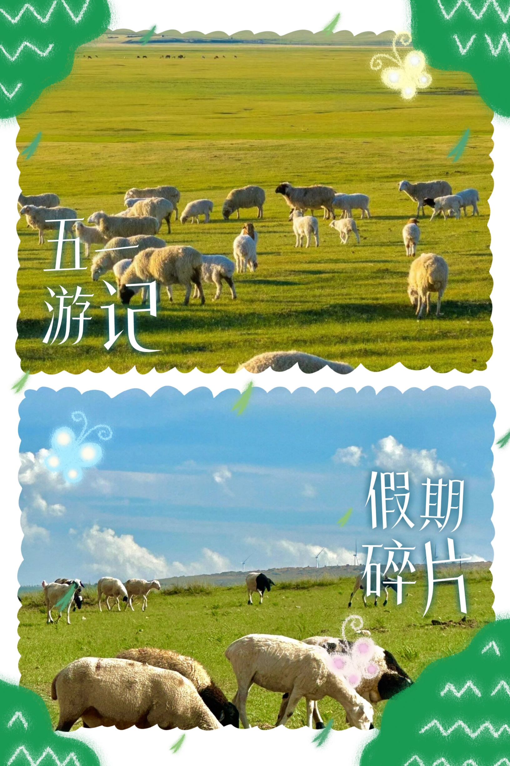 🌿希拉穆仁草原 | 驰骋草原，体验蒙古风情 🐎🏞️