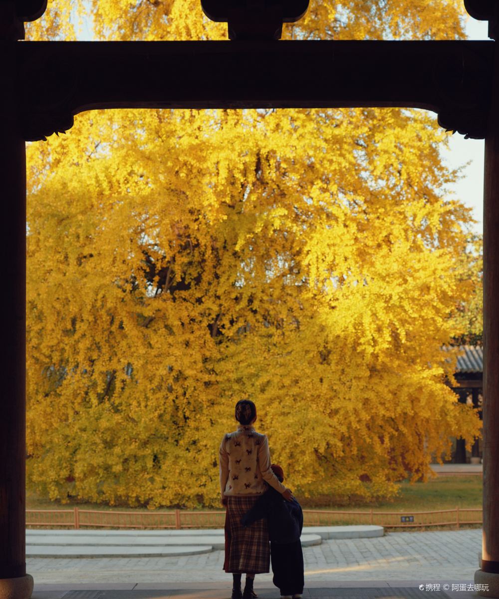 濮院时尚古镇梅尚度假酒店图片