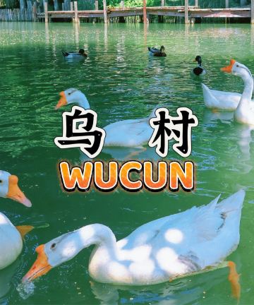 乌镇乌村酒店图片